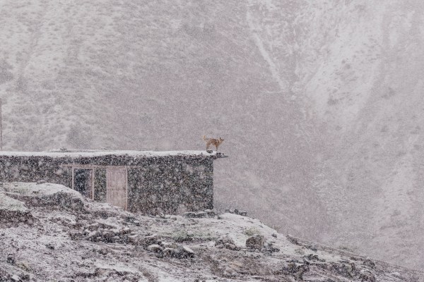 &copy; Archiv Ines Papert